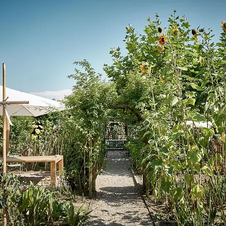 Ibis Styles Donibane Hotel 3*