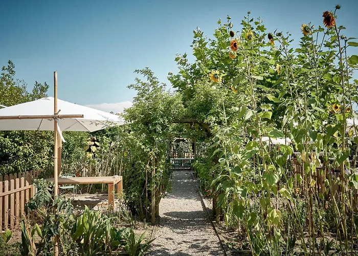 Ibis Styles Donibane Szálloda 3*